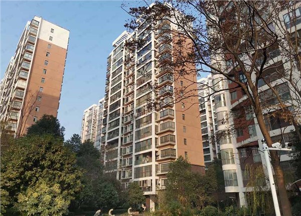 西岸潤澤府電動車儲能遠(yuǎn)程抄表系統(tǒng)