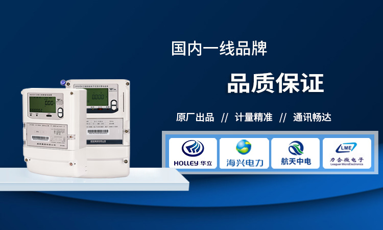 遠(yuǎn)程預(yù)付費智能電能表